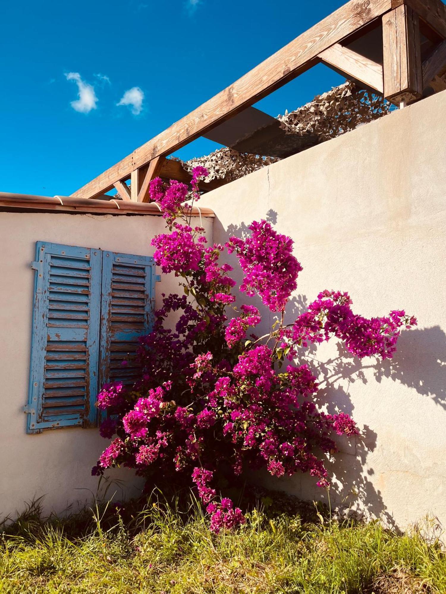 Residence Casa Toga Галерия Екстериор снимка